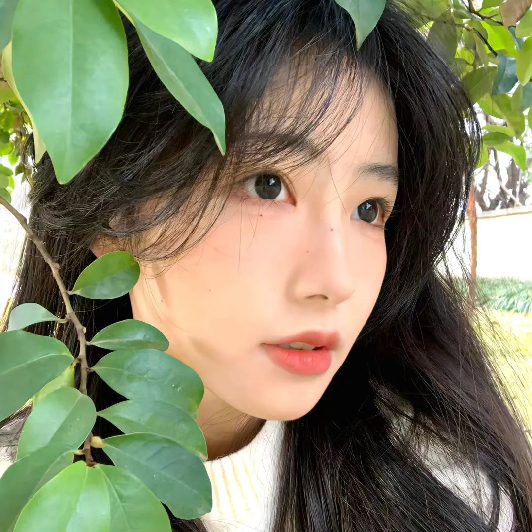 月缺还新
