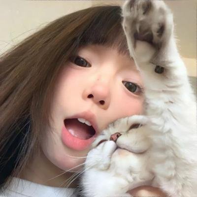 虎鲨王